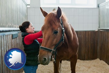 a horse and a horse owner in a boarding stable - with Alaska icon