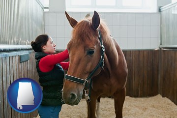 a horse and a horse owner in a boarding stable - with Alabama icon