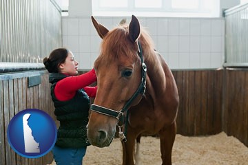 a horse and a horse owner in a boarding stable - with Delaware icon