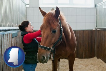 a horse and a horse owner in a boarding stable - with Mississippi icon