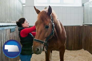 a horse and a horse owner in a boarding stable - with Nebraska icon