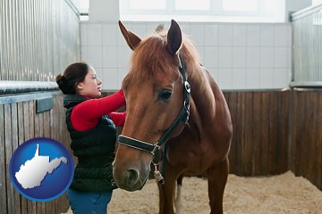 a horse and a horse owner in a boarding stable - with West Virginia icon